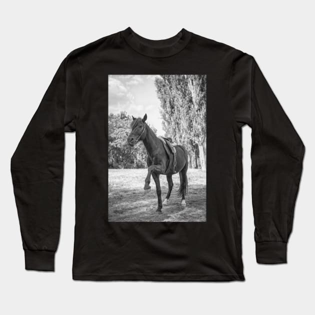 Beautiful Black Horse Long Sleeve T-Shirt by KanysDenti